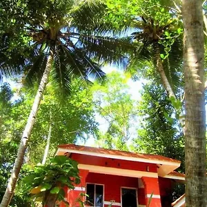 Beach Valley Varkala